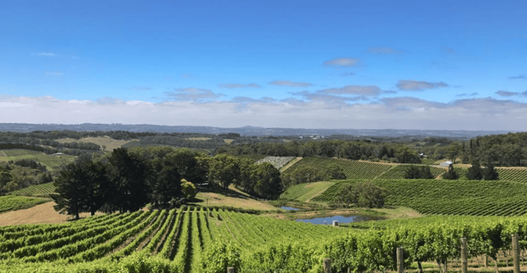 The BEST Nepenthe Cellar Door Wine tasting winery tours 2023