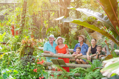 Desde Port Douglas Parque de Cocodrilos de Hartley, Skyrail y Tren