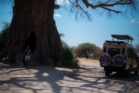 Tanzania: 6-Day Mid-Range Lodge Safari with Meals