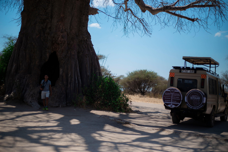 Tanzania: 6-Day Mid-Range Lodge Safari with Meals