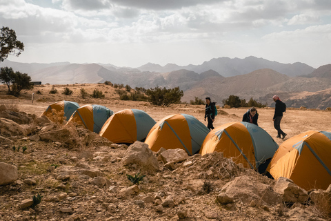 Wycieczka z Dany do Petry + Wadi Rum i Morze Martwe