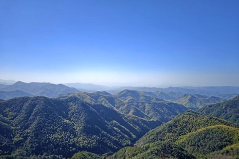 Shanghai: Zoumagang Hike Through Ancient Torreya Forest private tour option