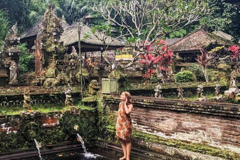 Bali: All-Inclusive Ubud Highlights Tour