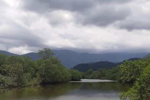 From Paraty to Ubatuba: Forest Trip with a Biologist