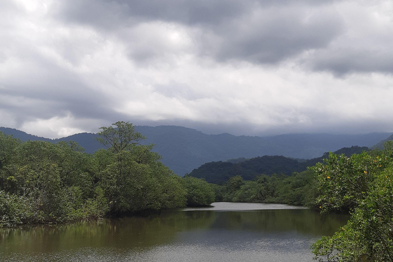 From Paraty to Ubatuba: Forest Trip with a Biologist