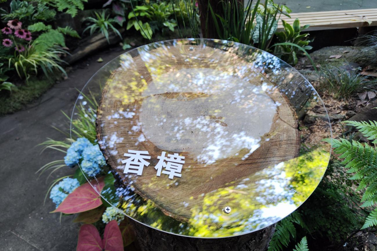 Hangzhou Yunqi Bamboo Trail Admission Ticket
