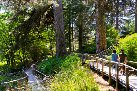 Camigliatello: Tour to the Giants Reserve & Wine Tasting Tour to the Giants Reserve & Wine Tasting