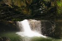 Grotta delle foreste pluviali e dei vermi luminosi, tour di un giorno da Brisbane - Hizvo