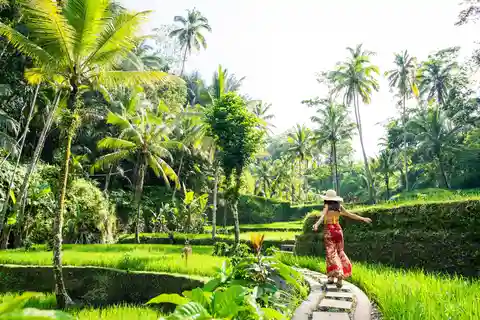 Bali: Tour in scooter di Ubud, purificazione, terrazze di riso e cascate
