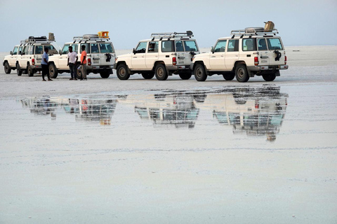 5-Days Afar and Awash National Park Tour