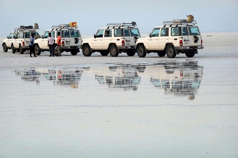 5-Days Afar and Awash National Park Tour