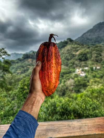 Magical Minca: Waterfalls, Cocoa & Coffee Workshop from Santa Marta