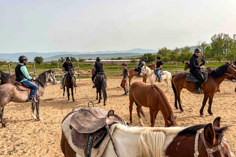 2-hour horse riding tour at Palomino Ranch