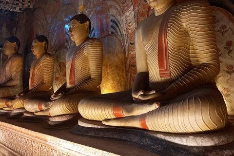 Au départ de Colombo : Excursion à Sigiriya et Dambulla avec un safari