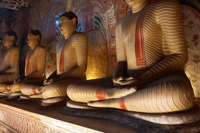 Au départ de Colombo : Excursion à Sigiriya et Dambulla avec un safari