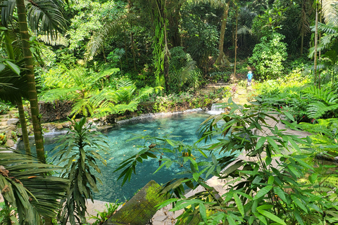 Hidden Valley Springs | Lunch | Taal Volcano Viewing (2in1)