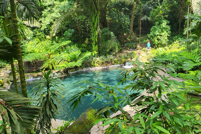 Hidden Valley Springs | Lunch | Taal Volcano Viewing (2in1)