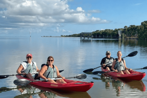 Florida: Indian River Daytime Manatee and Dolphin Kayak Tour Clear Bottom Kayak Day Tour