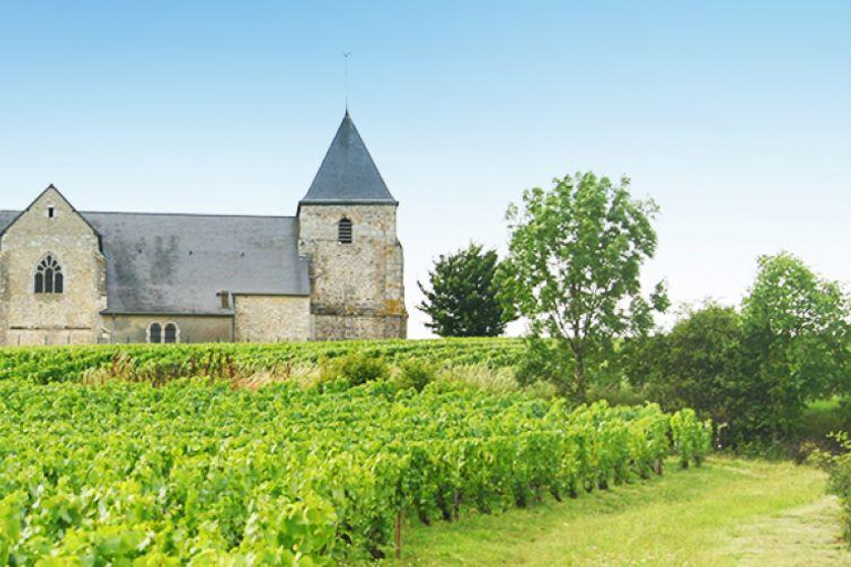 Le Havre: Sailing and Champagne Cruise