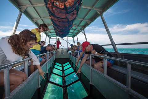 Bali: Glass Bottom Boat & Turtle Conservation Tour