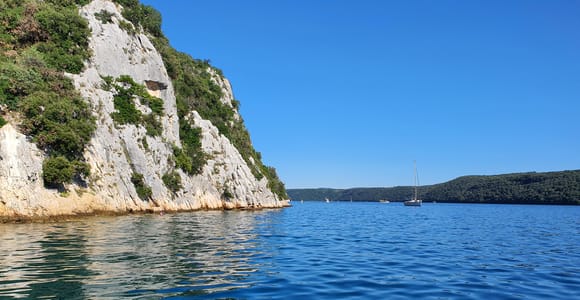 Delfinsafari jeden Abend