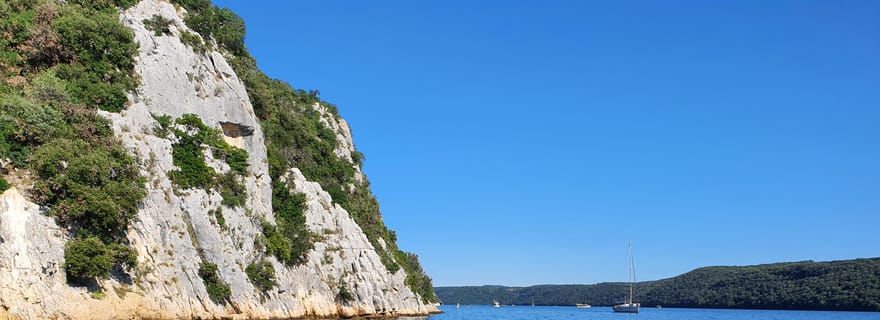 Safari dauphins tous les soirs