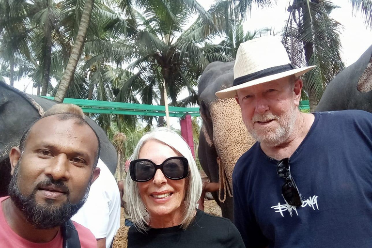 Kandy: Private Tuk-Tuk Tour with Tea Tasting & Hotel Pickup