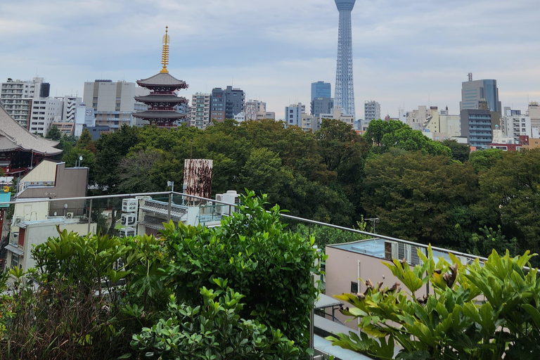 Tour privato di un giorno dei luoghi più famosi di TokyoTour privato di un giorno dei luoghi famosi di Tokyo