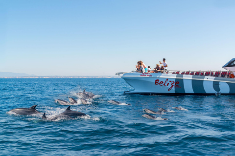 Portimão:Dolphins & Benagil Caves Catamaran-Marine Biologist