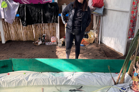 Xochimilco: Sanctuary of the Ajolote Axolotl