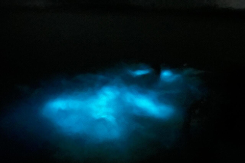 Bioluminescence in Puerto Escondido: Glow in the Manialtepec Lagoon Bioluminescence in Puerto Escondido: Glow in Laguna de Manialtepec