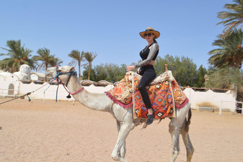 Sunset Hurghada Camel Ride Tour Desert & Beach With Sea Veiw Camel Ride Tour for 2-Hours with Dinner, Show, & Stargazing