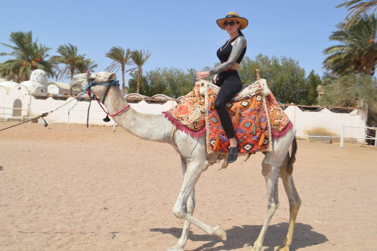Sunset Hurghada Camel Ride Tour Desert & Beach With Sea Veiw Camel Ride Tour for 2-Hours with Dinner, Show, & Stargazing