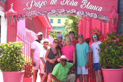 Puerto Plata: Zipline, Damajagua Falls, and City Tour