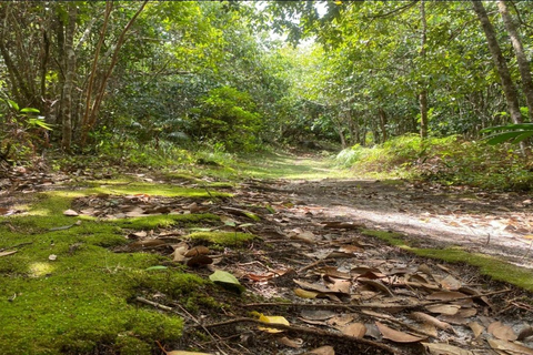 Mare Aux Cochon (Private Hiking Activity) - All Inclusive