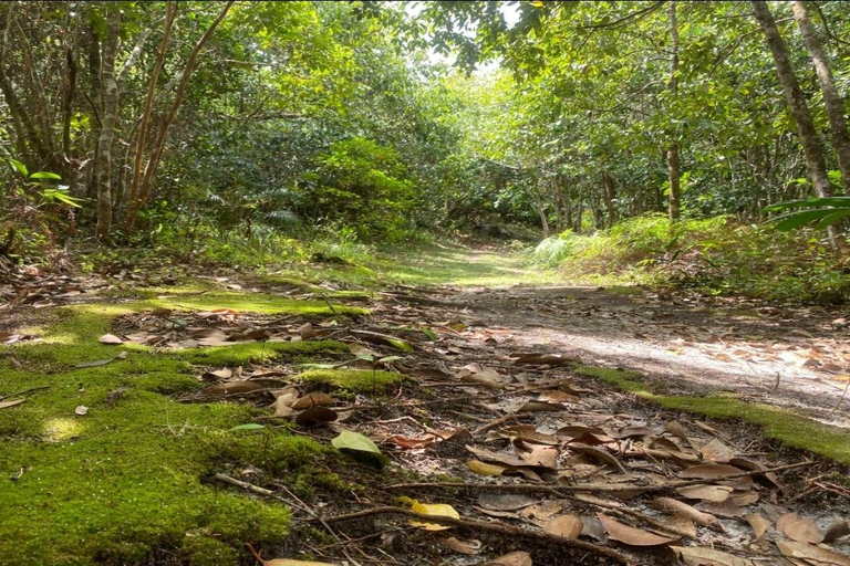 Mare Aux Cochon (Private Hiking Activity) - All Inclusive