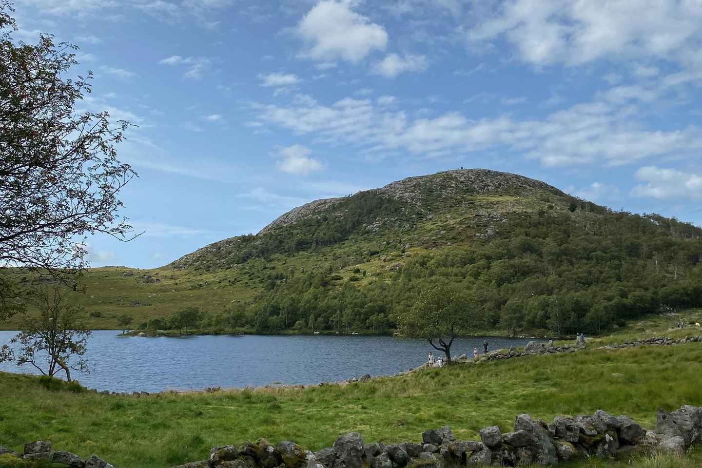 Dalsnuten: Private Hiking Tour with Pick-up Service