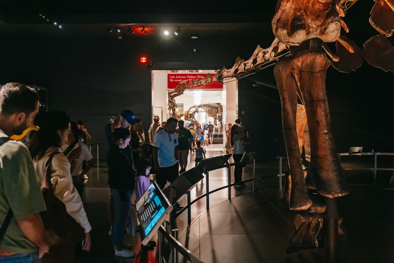 New York City: American Museum of Natural History TicketAllgemeiner Eintritt