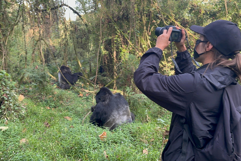 1-Day Rwanda Gorilla Trekking Volcanoes National Park