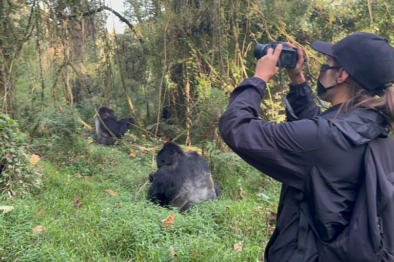 1-Day Rwanda Gorilla Trekking Volcanoes National Park