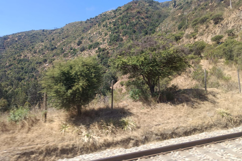 Valparaíso: Scenic Train Journey from Coast to Valley