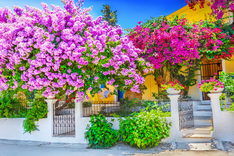 Best of Rhodes Tour including Lindos and Medieval City