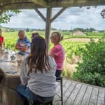 Da Bordeaux: tour di un giorno a St-Emilion con degustazioni e pranzo
