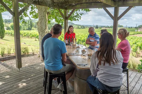 Au départ de Bordeaux : excursion d'une journée à Saint-Émilion avec dégustations et déjeuner