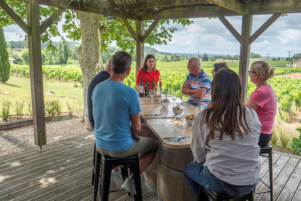 Da Bordeaux: tour di un giorno a St-Emilion con degustazioni e pranzo