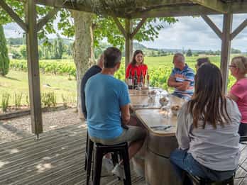 Au départ de Bordeaux : excursion d'une journée à Saint-Émilion avec dégustations et déjeuner