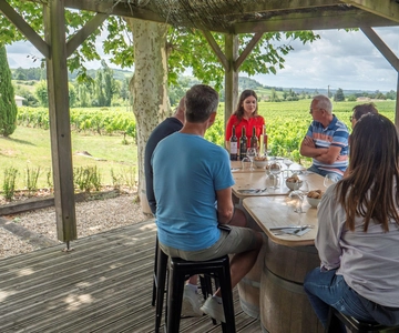 From Bordeaux, St-Emilion day tour: tastings, visit & lunch