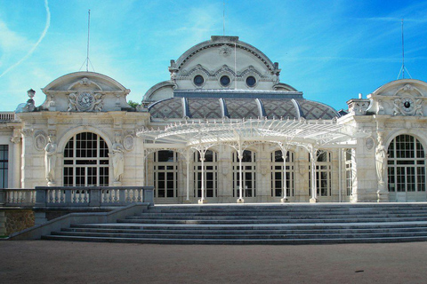 From Lyon: Vichy, City of Water Day Trip