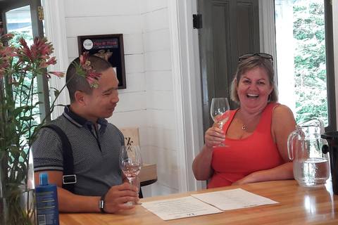 Da Wellington: Tour di degustazione dei vini di Martinborough