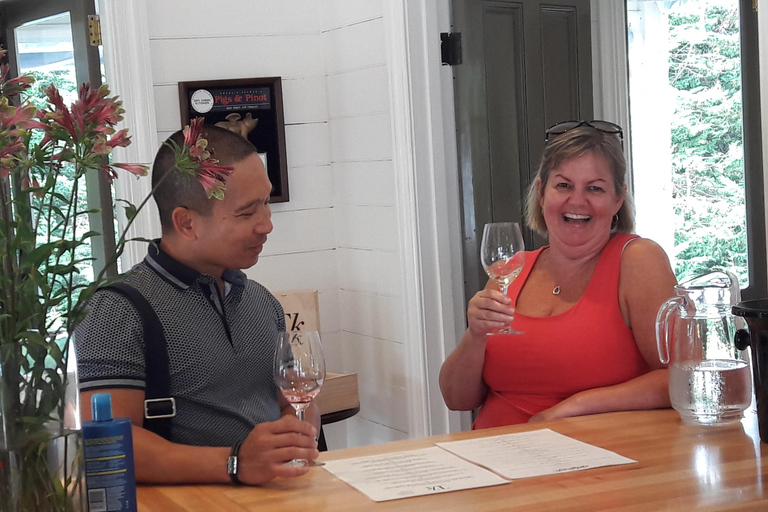 Da Wellington: Tour di degustazione dei vini di Martinborough